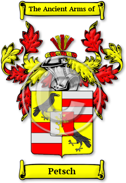Petsch Family Crest Download (jpg) Legacy Series - 150 DPI