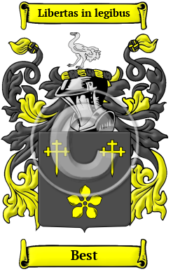 Best Family Crest Download (JPG) Heritage Series - 600 DPI