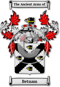 Betnam Family Crest Download (jpg) Legacy Series - 150 DPI