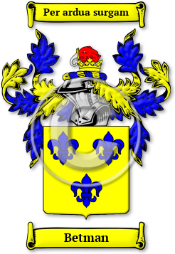 Betman Family Crest Download (jpg) Legacy Series - 150 DPI