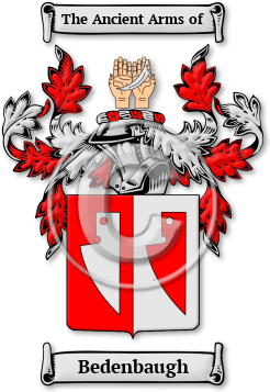 Bedenbaugh Family Crest Download (jpg) Legacy Series - 150 DPI