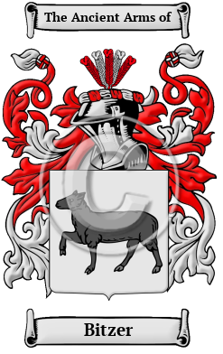 Bitzer Family Crest/Coat of Arms