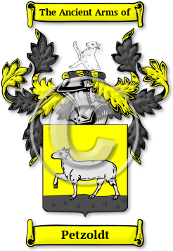 Petzoldt Family Crest Download (JPG) Legacy Series - 600 DPI