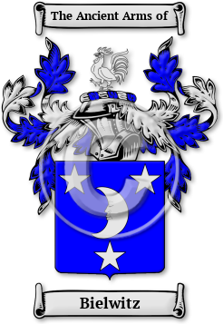 Bielwitz Family Crest Download (JPG) Legacy Series - 600 DPI