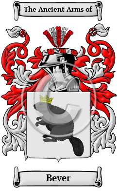 Bever Family Crest/Coat of Arms