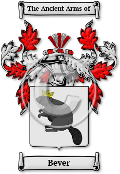 Bever Family Crest Download (JPG) Legacy Series - 300 DPI