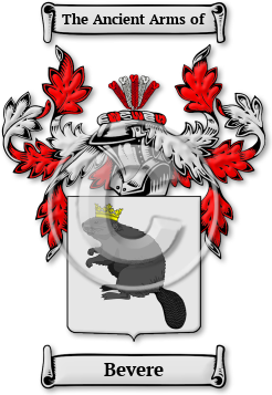 Bevere Family Crest Download (jpg) Legacy Series - 150 DPI