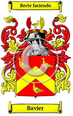 Bavier Family Crest Download (JPG) Heritage Series - 600 DPI