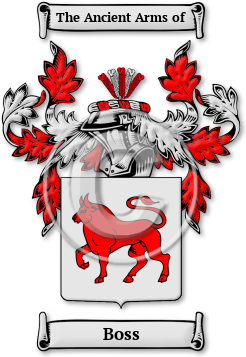 Boss Family Crest Download (JPG) Legacy Series - 600 DPI