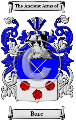 Bure Family Crest Download (JPG) Heritage Series - 600 DPI