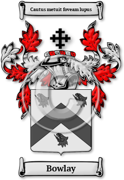 Bowlay Family Crest Download (jpg) Legacy Series - 150 DPI