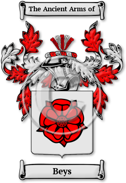 Beys Family Crest Download (jpg) Legacy Series - 150 DPI