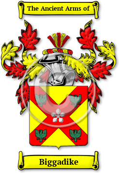 Biggadike Family Crest Download (jpg) Legacy Series - 150 DPI