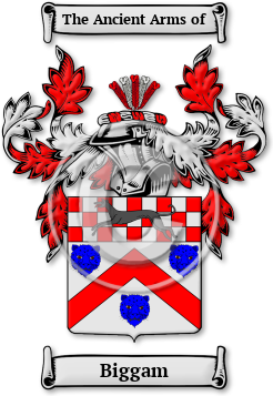 Biggam Family Crest Download (jpg) Legacy Series - 150 DPI