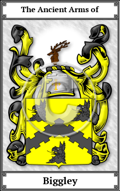Biggley Family Crest Download (JPG) Book Plated - 600 DPI