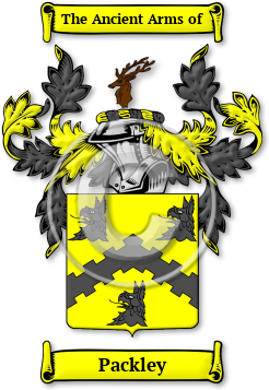 Packley Family Crest Download (jpg) Legacy Series - 150 DPI