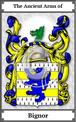 Bignor Family Crest Download (JPG) Book Plated - 600 DPI