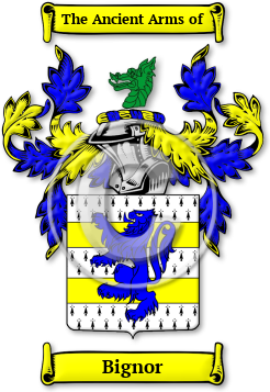 Bignor Family Crest Download (JPG) Legacy Series - 600 DPI