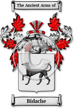 Bidache Family Crest Download (jpg) Legacy Series - 150 DPI