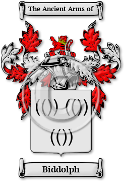 Biddolph Family Crest Download (JPG) Legacy Series - 600 DPI