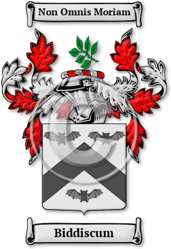 Biddiscum Family Crest Download (jpg) Legacy Series - 150 DPI