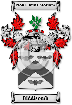 Biddisomb Family Crest Download (jpg) Legacy Series - 150 DPI