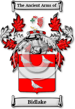 Bidlake Family Crest Download (jpg) Legacy Series - 150 DPI