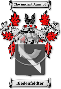 Biedenfeldter Family Crest Download (jpg) Legacy Series - 150 DPI