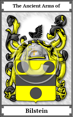 Bilstein Family Crest Download (JPG)  Book Plated - 150 DPI