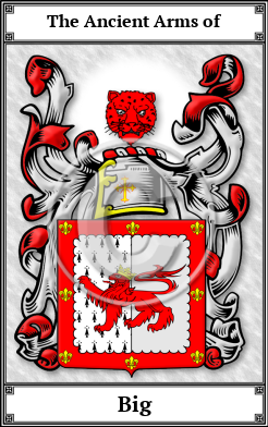 Big Family Crest Download (JPG) Book Plated - 600 DPI