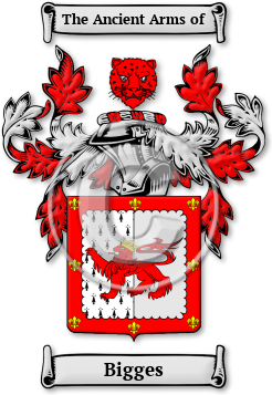 Bigges Family Crest Download (JPG) Legacy Series - 600 DPI