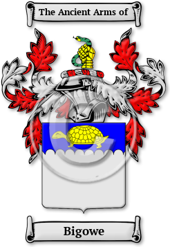 Bigowe Family Crest Download (JPG) Legacy Series - 600 DPI