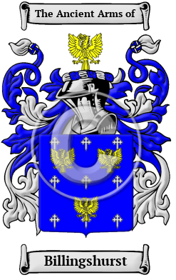 Billingshurst Family Crest Download (JPG) Heritage Series - 600 DPI