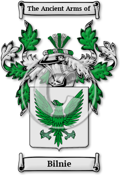 Bilnie Family Crest Download (jpg) Legacy Series - 150 DPI