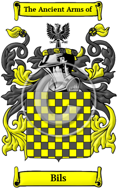 Bils Family Crest Download (JPG) Heritage Series - 600 DPI