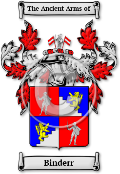 Binderr Family Crest Download (jpg) Legacy Series - 150 DPI