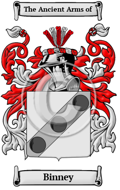 Binney Family Crest Download (JPG) Heritage Series - 600 DPI