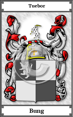 Bung Family Crest Download (JPG) Book Plated - 300 DPI