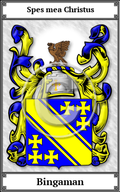 Bingaman Family Crest Download (JPG)  Book Plated - 150 DPI