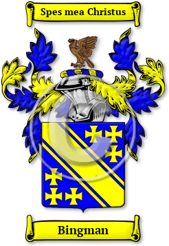 Bingman Family Crest Download (jpg) Legacy Series - 150 DPI