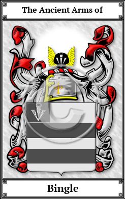 Bingle Family Crest Download (JPG)  Book Plated - 150 DPI