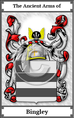 Bingley Family Crest Download (JPG)  Book Plated - 150 DPI