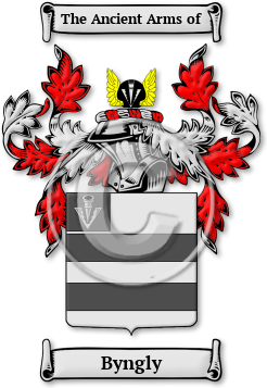 Byngly Family Crest Download (jpg) Legacy Series - 150 DPI