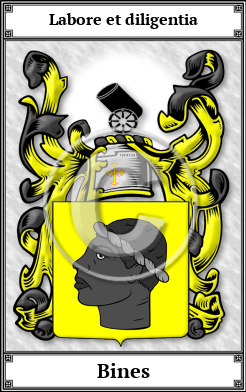 Bines Family Crest Download (JPG) Book Plated - 600 DPI