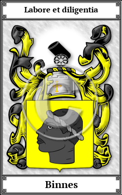 Binnes Family Crest Download (JPG)  Book Plated - 150 DPI