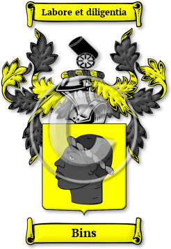 Bins Family Crest Download (jpg) Legacy Series - 150 DPI