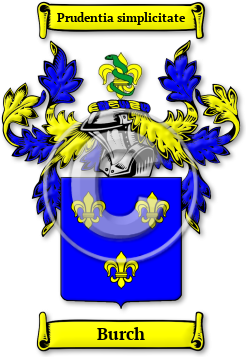 Burch Family Crest Download (JPG) Legacy Series - 600 DPI