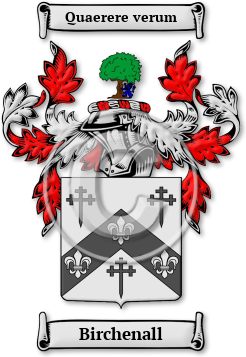 Birchenall Family Crest Download (jpg) Legacy Series - 150 DPI