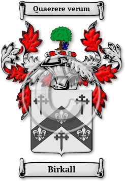 Birkall Family Crest Download (jpg) Legacy Series - 150 DPI