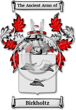 Birkholtz Family Crest Download (jpg) Legacy Series - 150 DPI